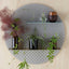 Grey Mesh Circle Shelf